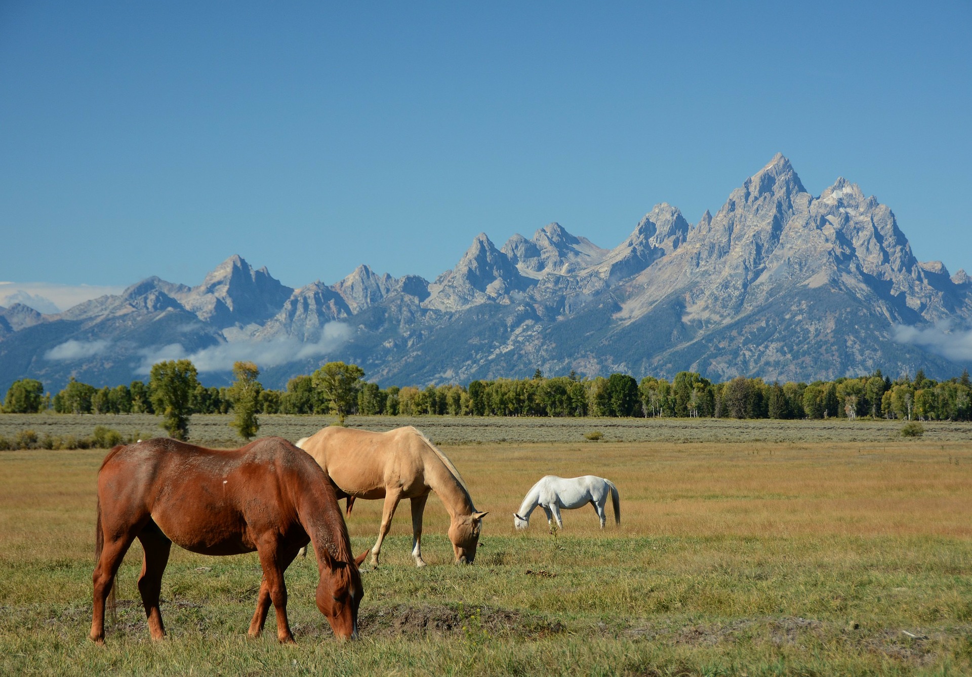 Traveling to Wyoming? Liberty Medical has made it easier than ever before for clients to travel with a trusted portable oxygen concentrator.